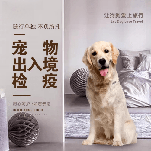 保定市宠物托运到哥伦比亚猫狗宠物入境规定和