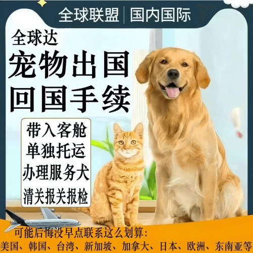 保定市宠物托运到柬埔寨宠物入境规定和要求
