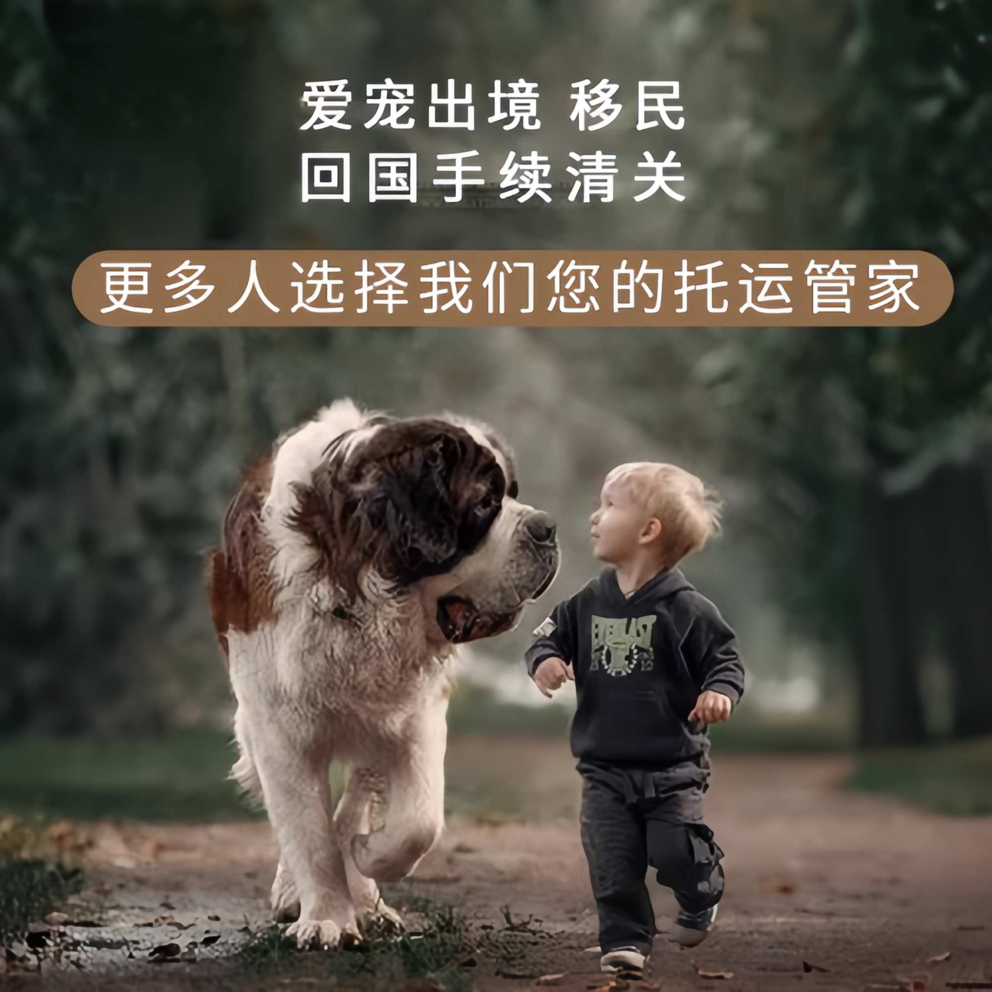 满财保定市宠物全球达宠物托运在遵守入境目的地政策的条件