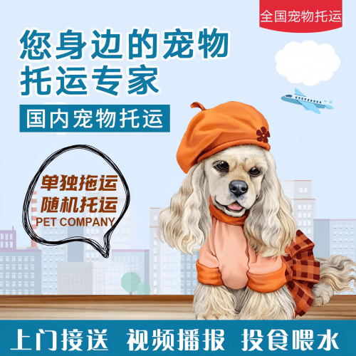 满财保定市宠物全球达宠物托运作为专业的宠物运输代理机构